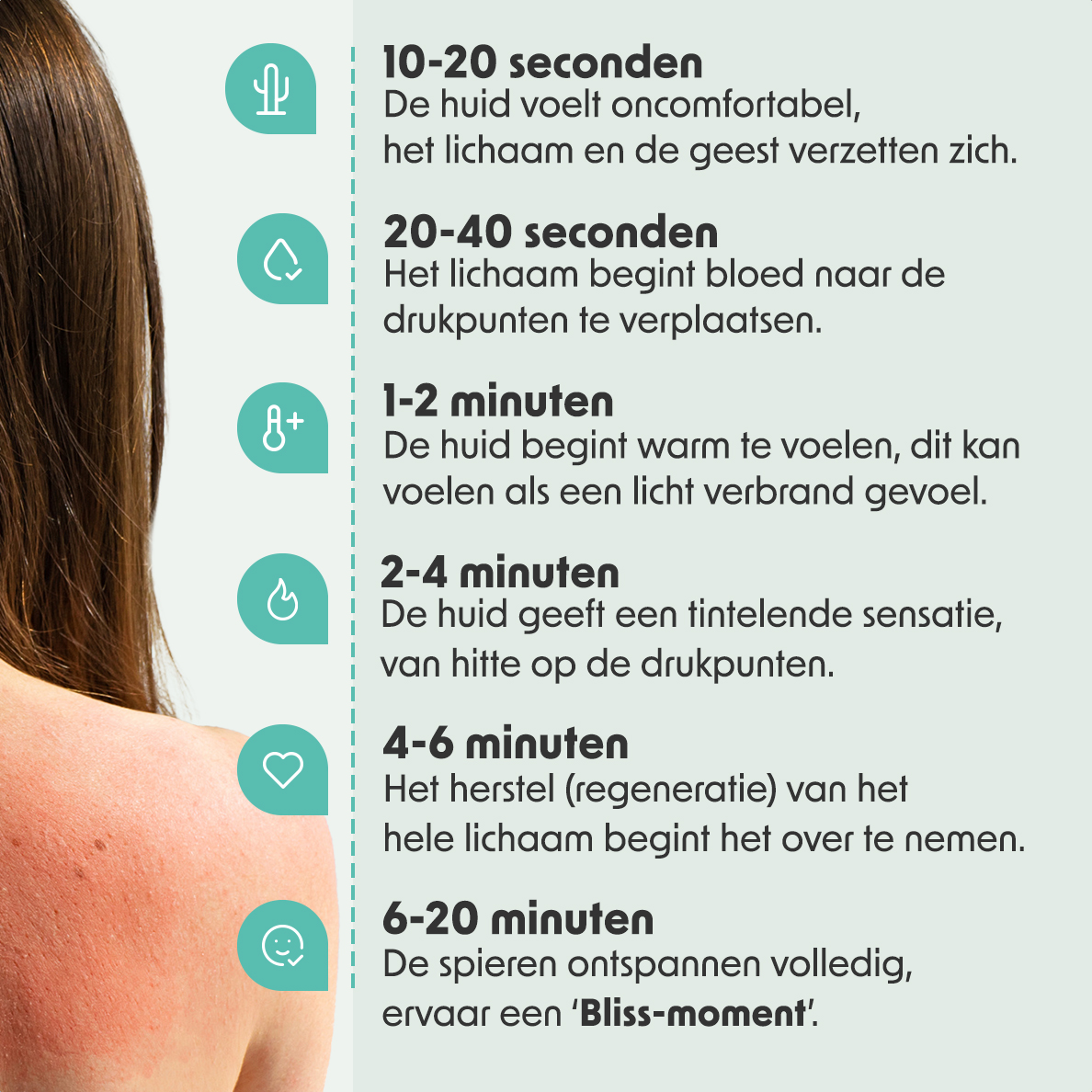 Volwassene, Vrouwelijk, Persoon, Vrouw, Kop