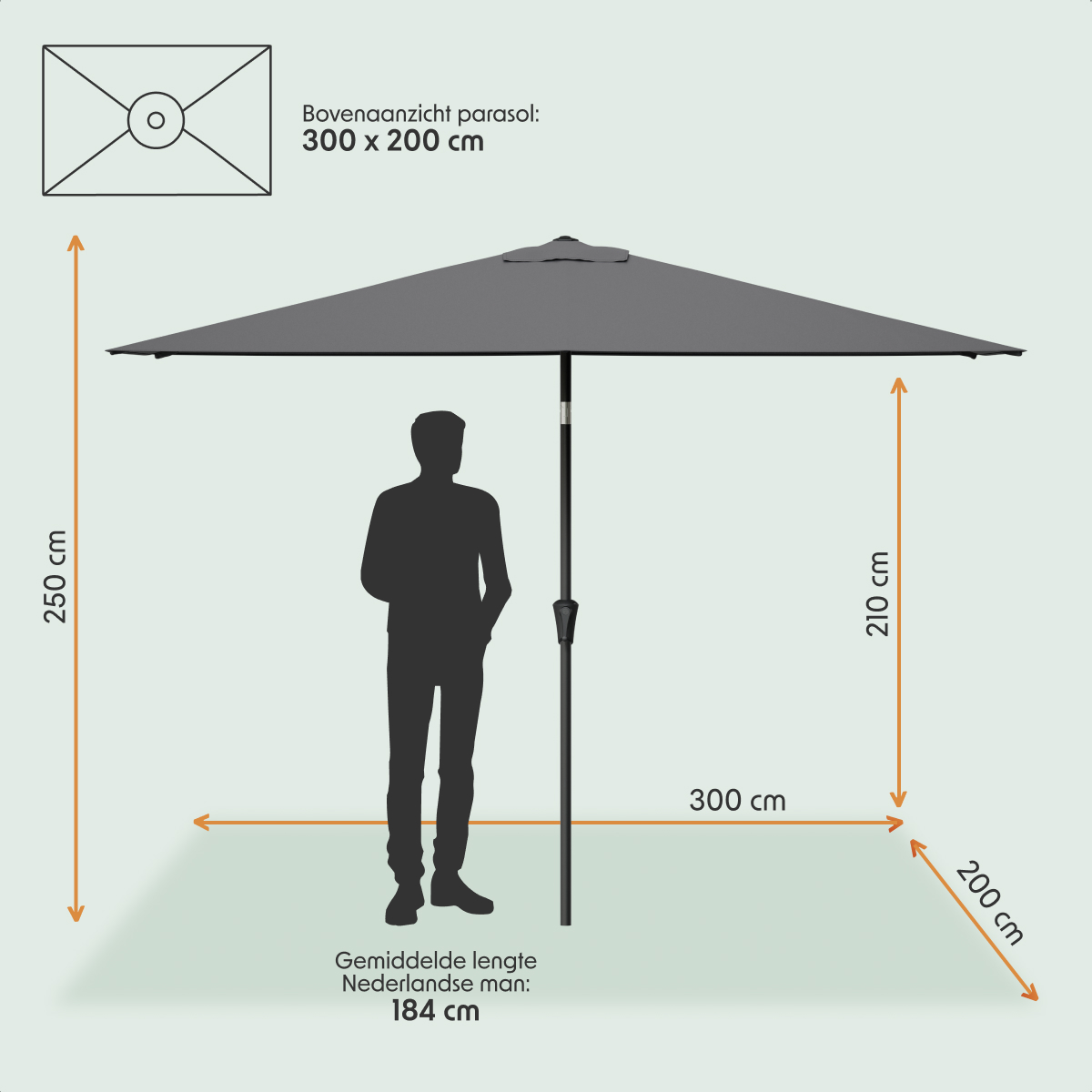 parasol, tuinparasol, schild, oliev, kroon